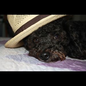 Meet your Posher, Karla